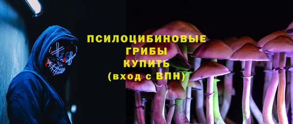 сатива Алексеевка