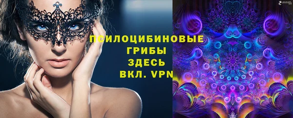 сатива Алексеевка