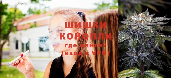 ешки Алзамай